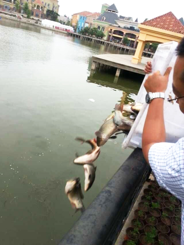 CA88集团(中国区) - 唯一官方网站