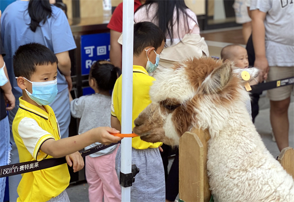 CA88集团(中国区) - 唯一官方网站