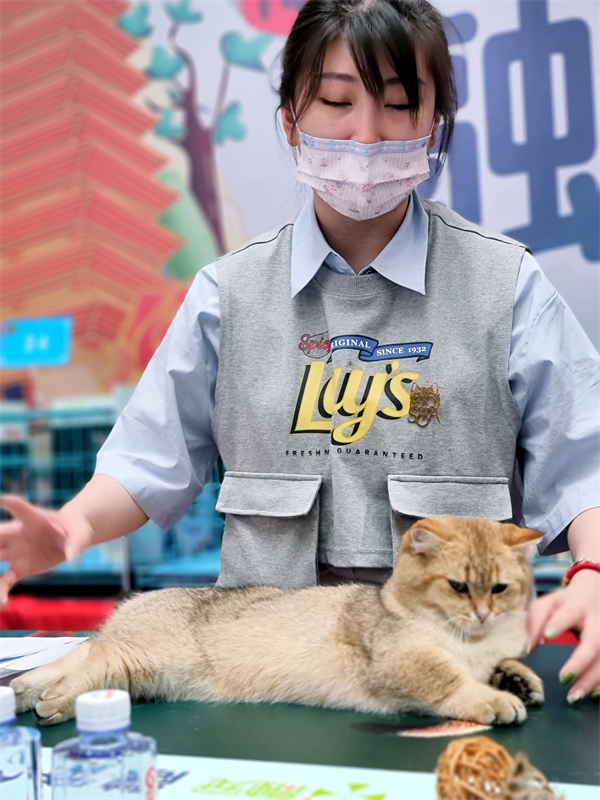 CA88集团(中国区) - 唯一官方网站