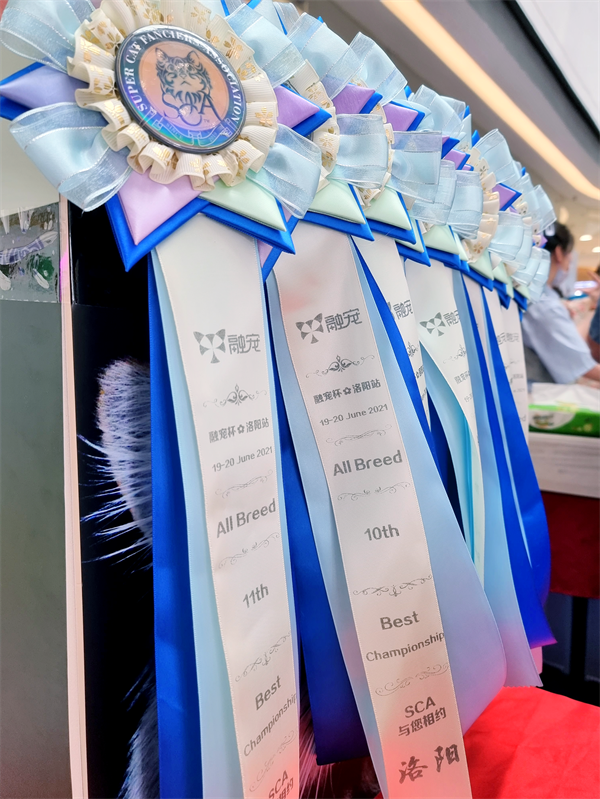 CA88集团(中国区) - 唯一官方网站