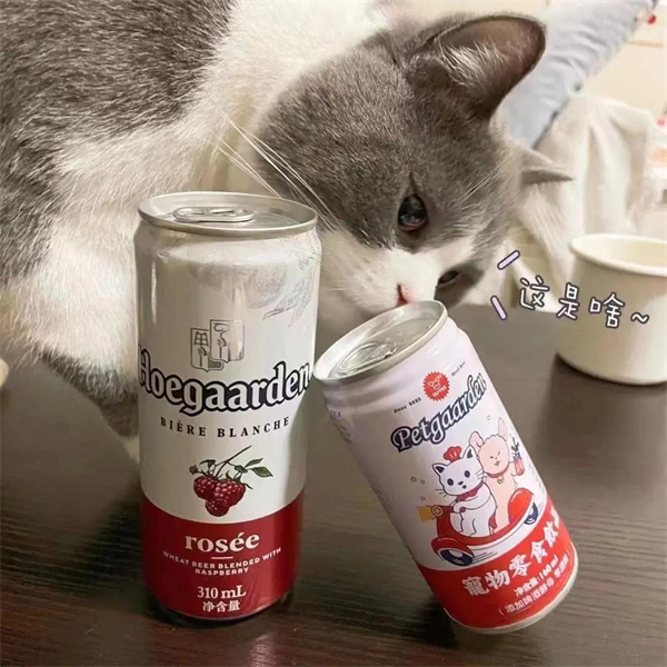 CA88集团(中国区) - 唯一官方网站