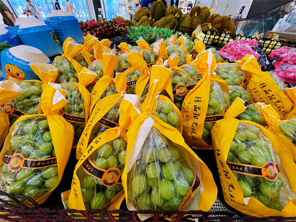 CA88集团(中国区) - 唯一官方网站