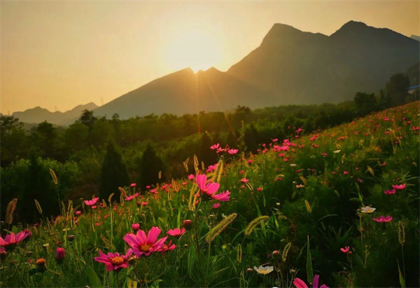 CA88集团(中国区) - 唯一官方网站