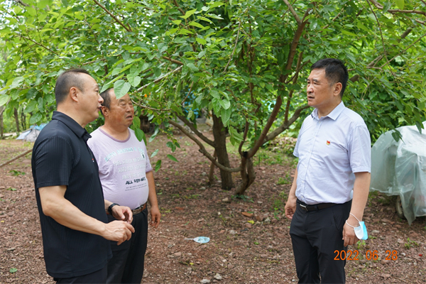 CA88集团(中国区) - 唯一官方网站