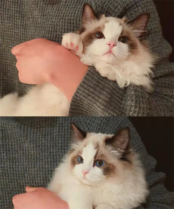 CA88集团(中国区) - 唯一官方网站